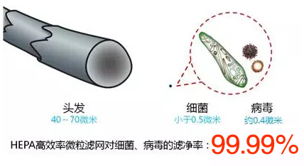 污染物細菌 污染物細菌